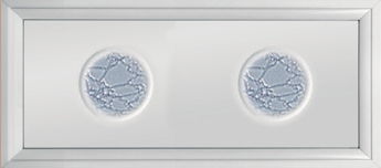 Α Image